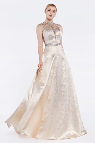 Jewelled Metallic Fitted Champagne Gown