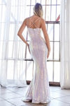 CDN | Fitted Iridescent Sequin Dress